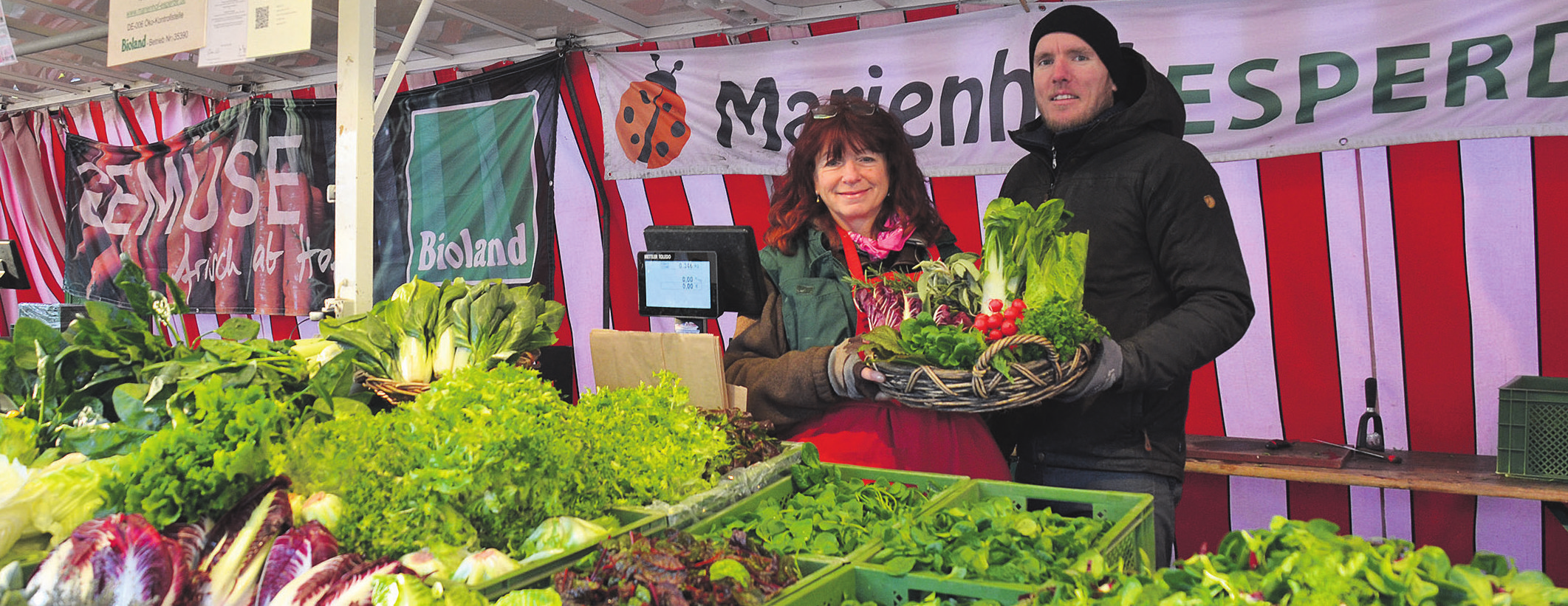 Regionale Bio-Salate auch in der kalten Jahreszeit