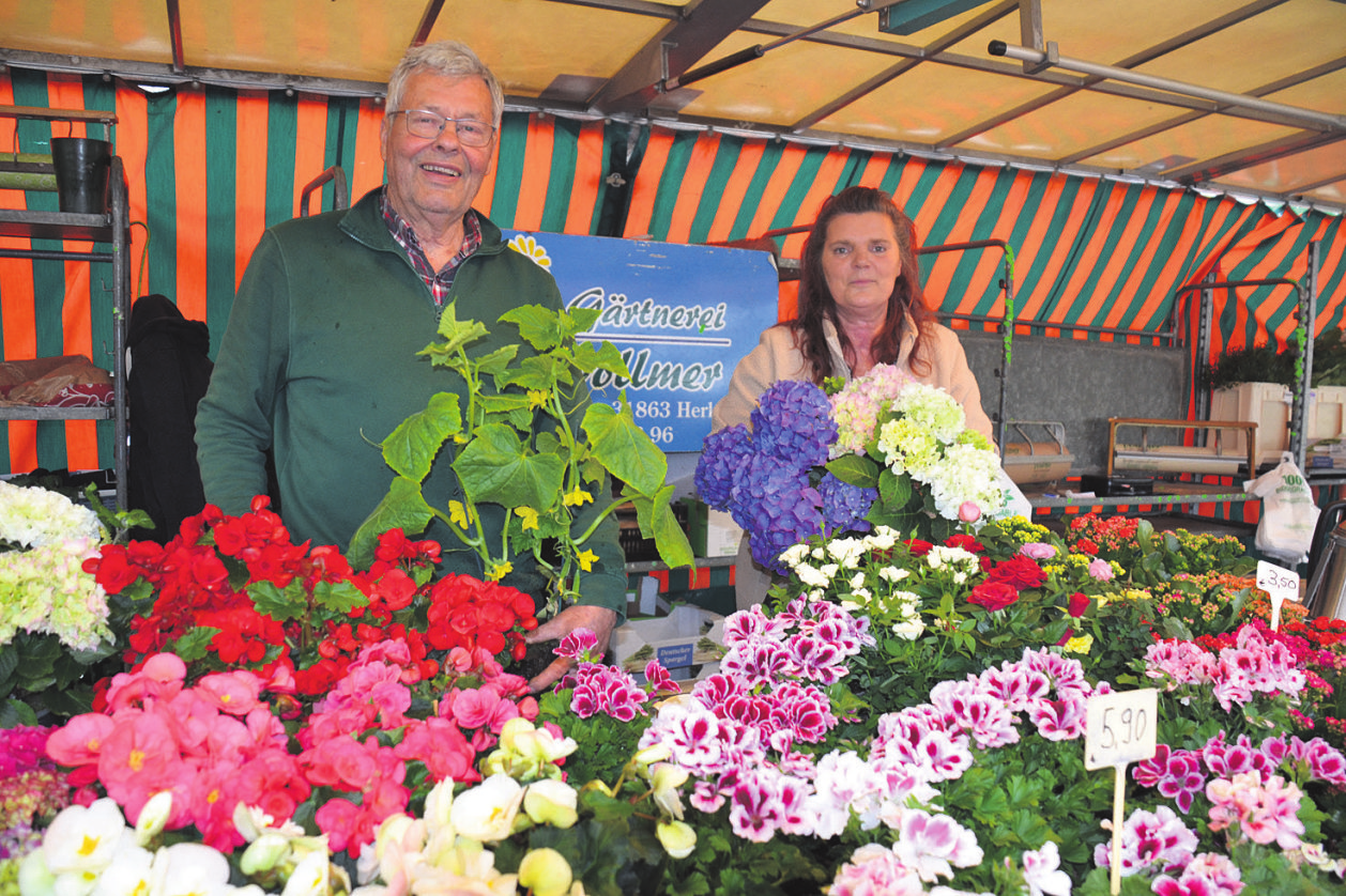 Friedrich Vollmer und Birgitt Grothe präsentieren Sommerblumen und Gemüsepflanzen.